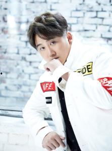 廖晶资料,才华横溢的艺术家，艺术生涯的璀璨篇章