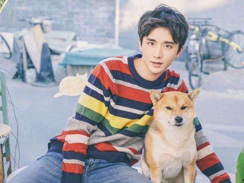 八卦来了 张新成,揭秘神秘八卦世界